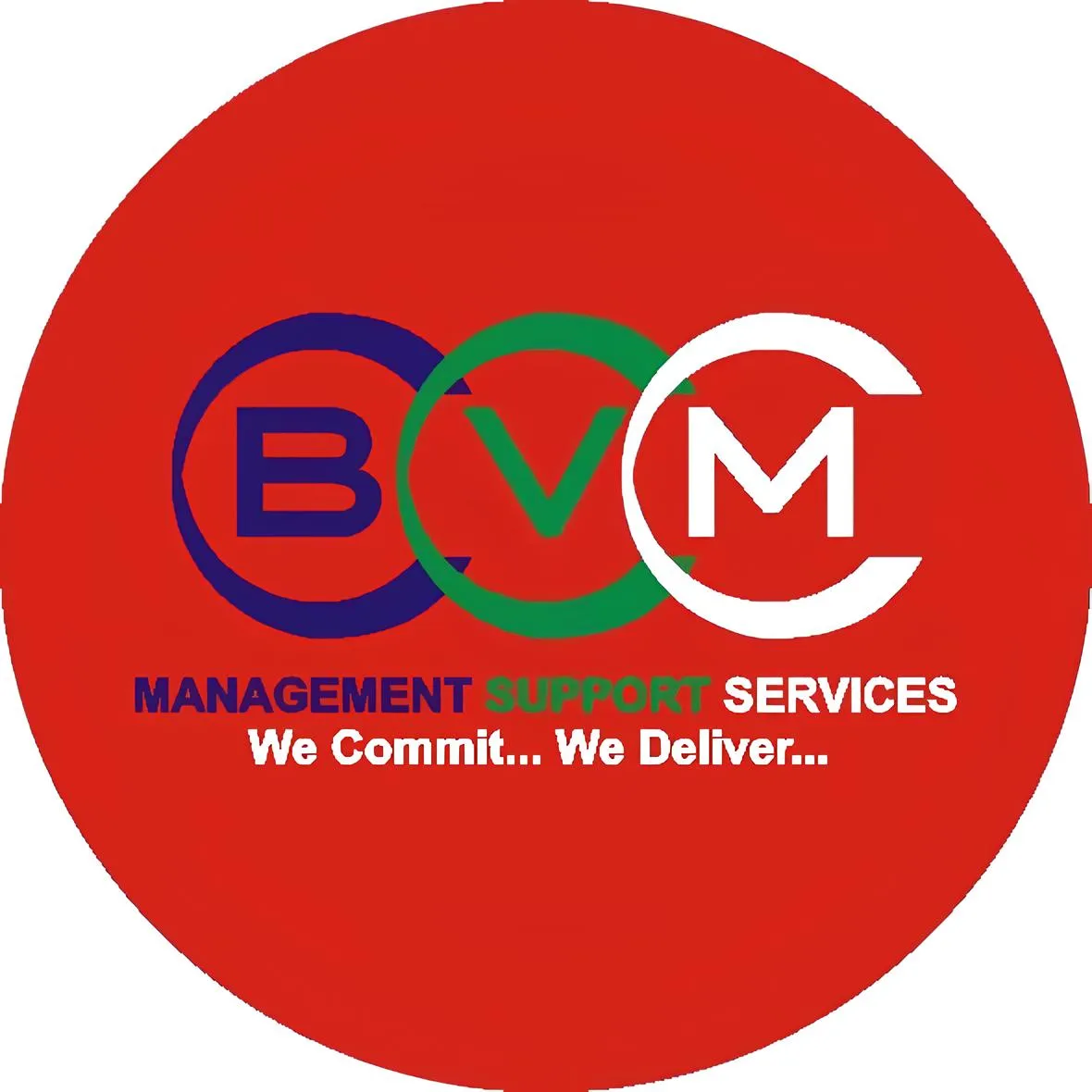 BVM Services Logo